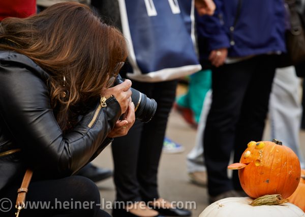 Impressions from Pumpkin Festival
