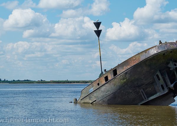Wreck at river Elbe