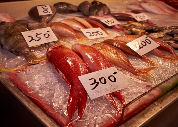 Fishmarket - Donggang
