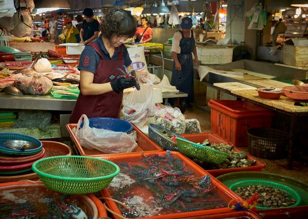 Fishmarket - Donggang