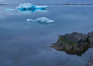 Arctic Tranquility, Liefdefjorden