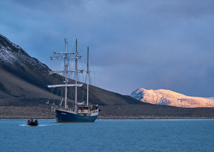 SS Antigua, Bjørnfjorden