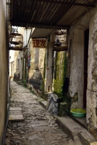 Tongli