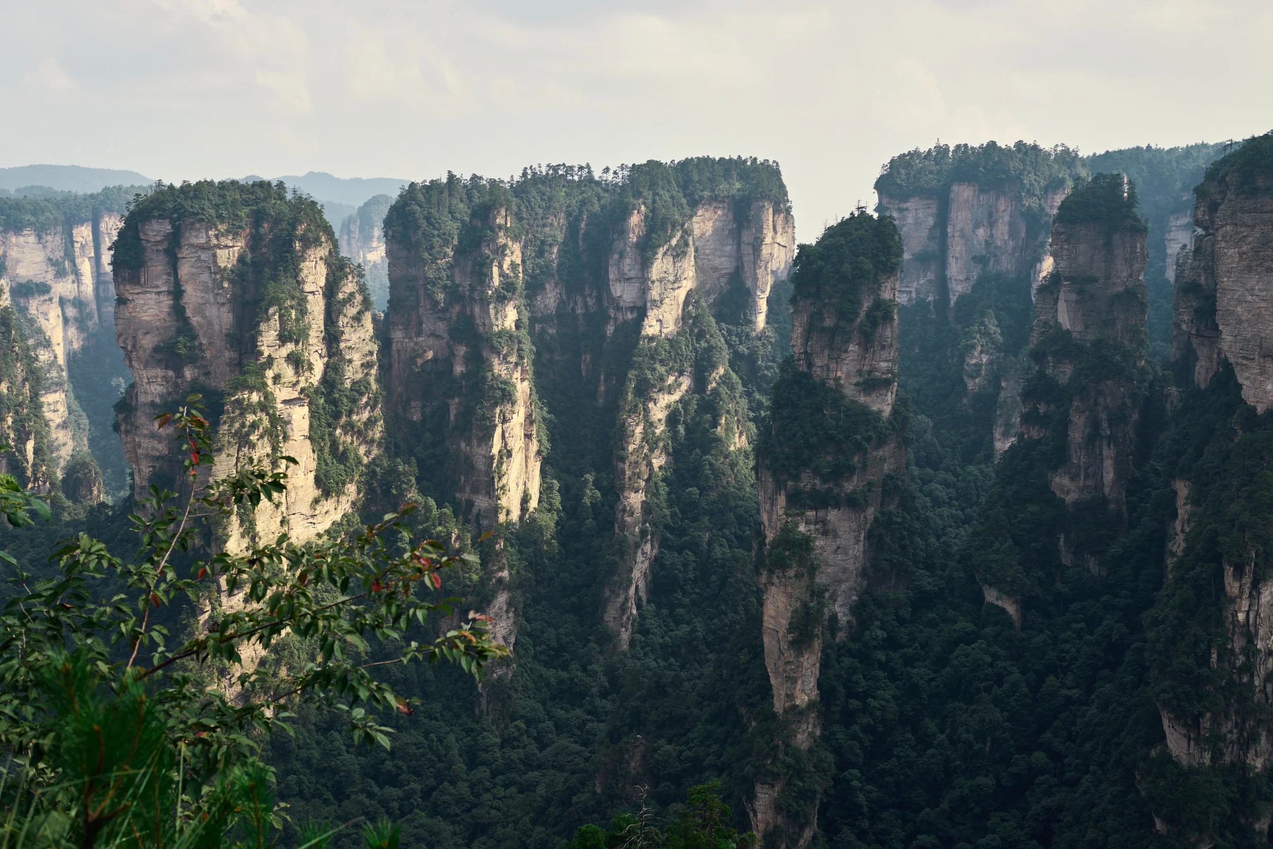 Zhangjiajie Forest Park