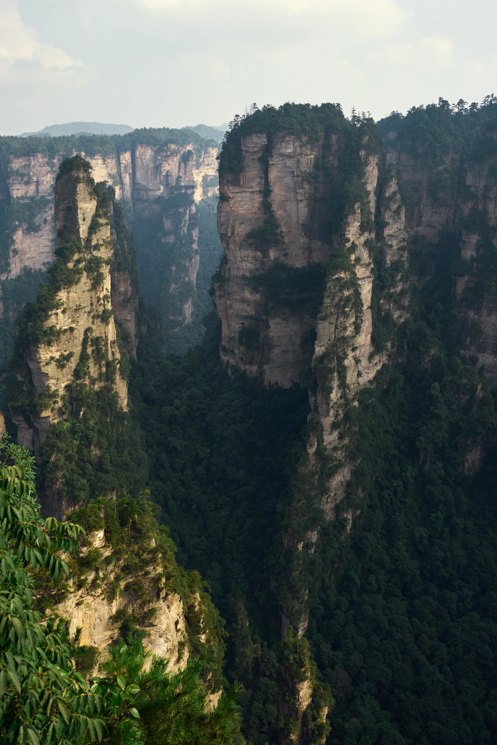 Zhangjiajie Forest Park