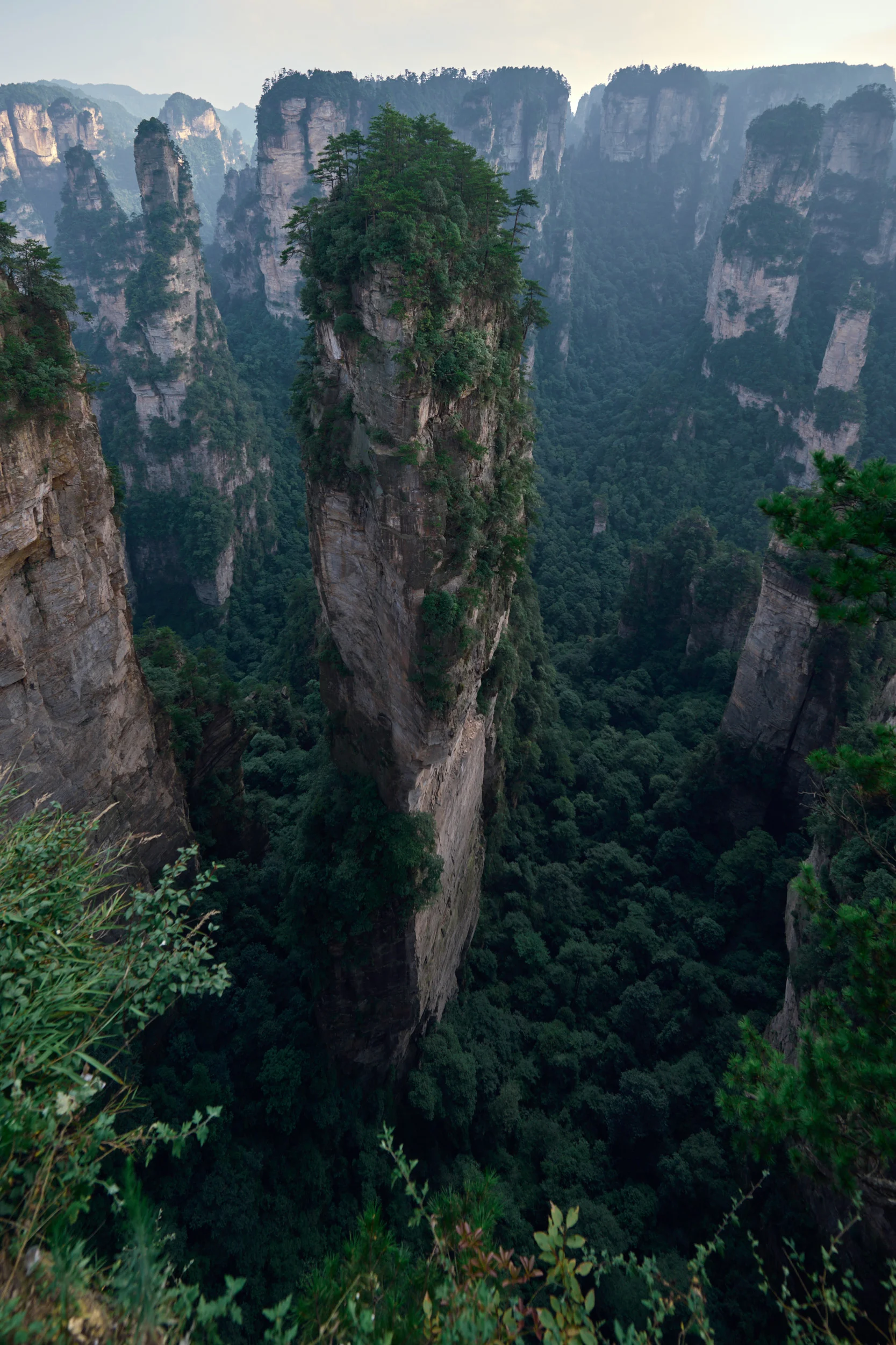 Zhangjiajie Forest Park