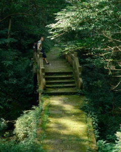 Zhangjiajie Forest Park