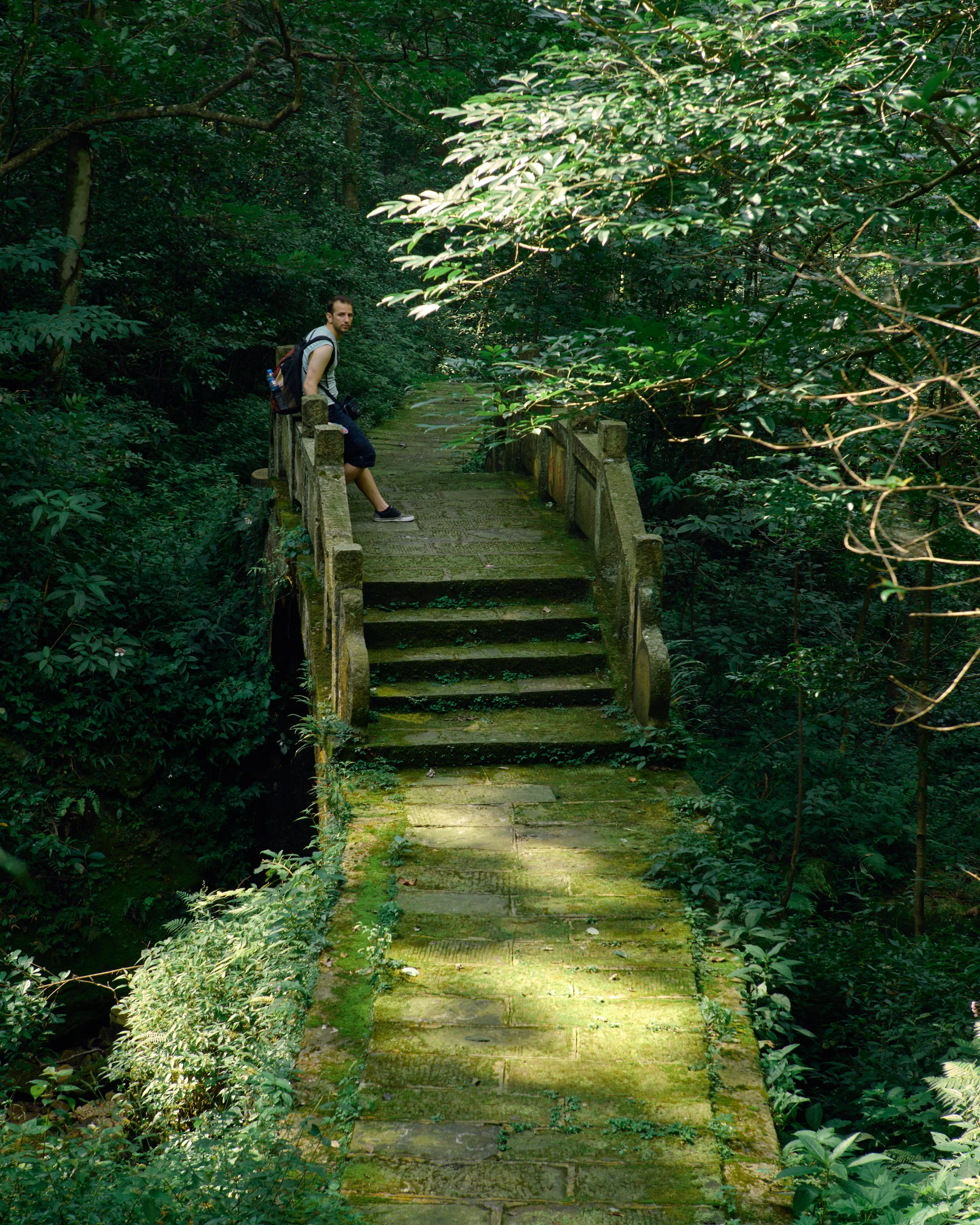 Zhangjiajie Forest Park