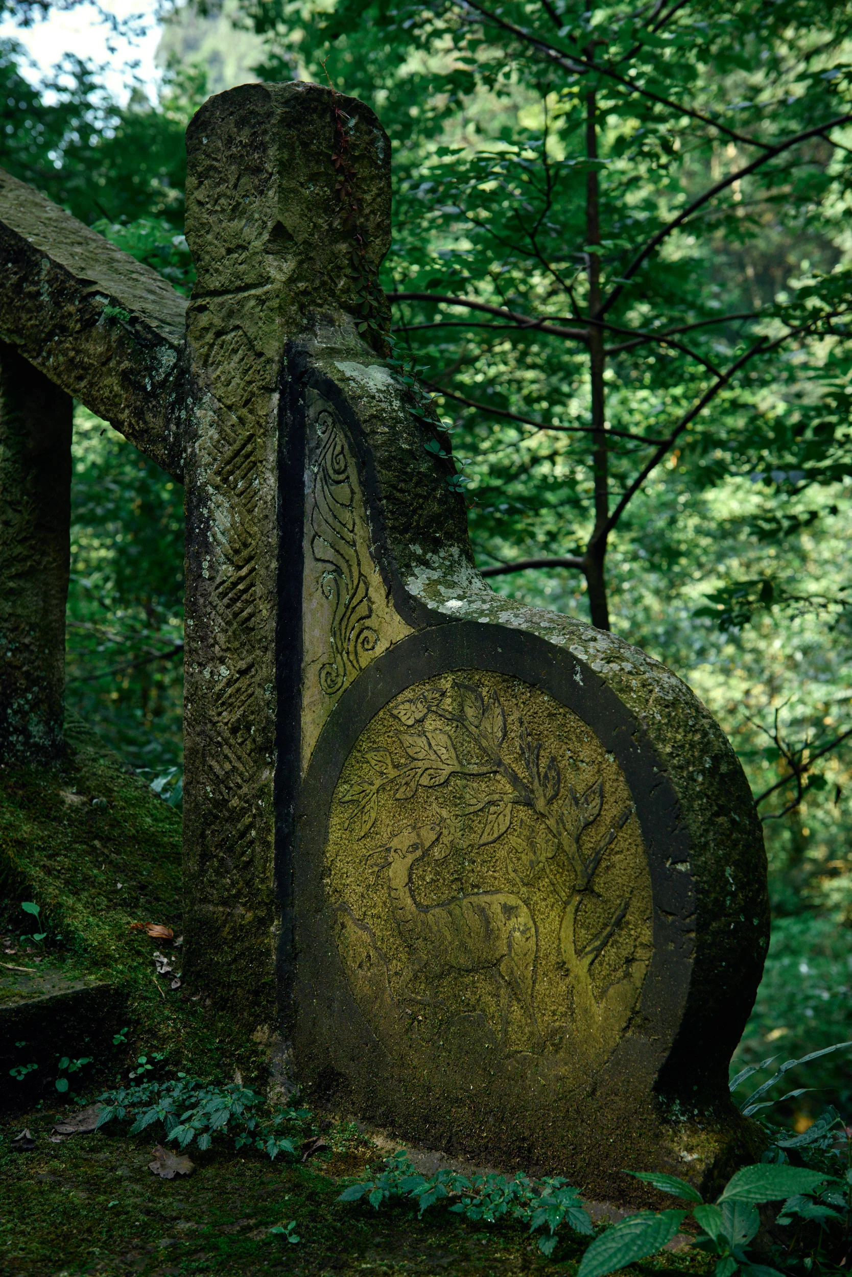 Zhangjiajie Forest Park